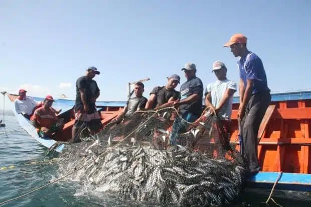 Liminar garante que pescadores possam ter acesso ao seguro-defeso