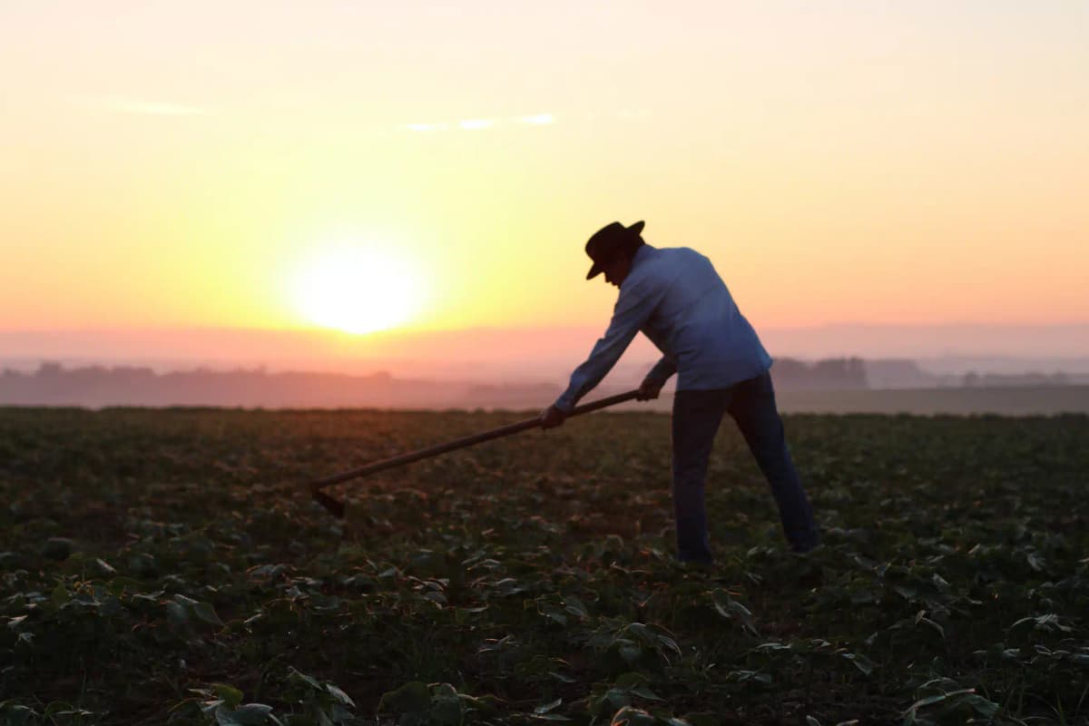 homem do campo