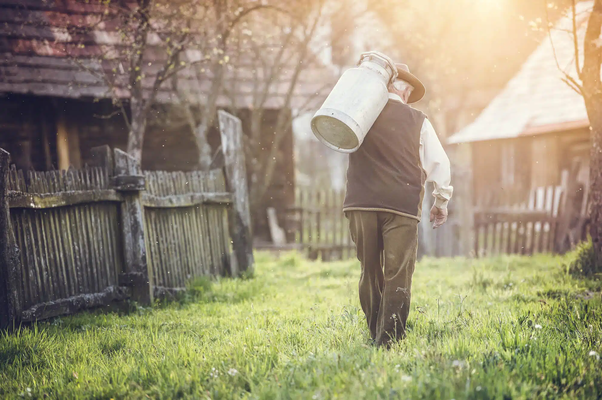 Aposentadoria rural: é necessário provar a comercialização da produção?