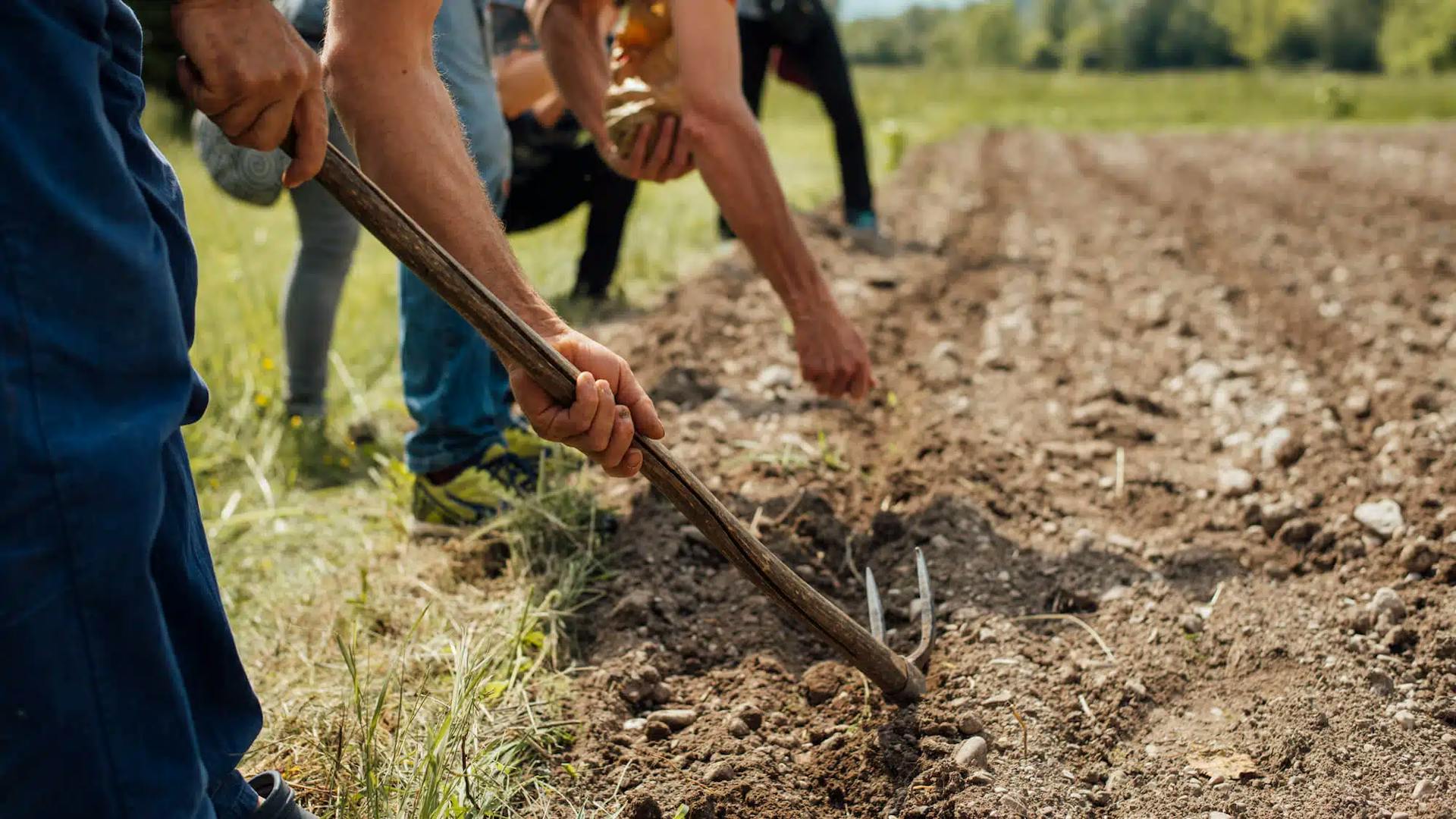 Revisão para reconhecimento de tempo rural anterior aos 12 anos de idade