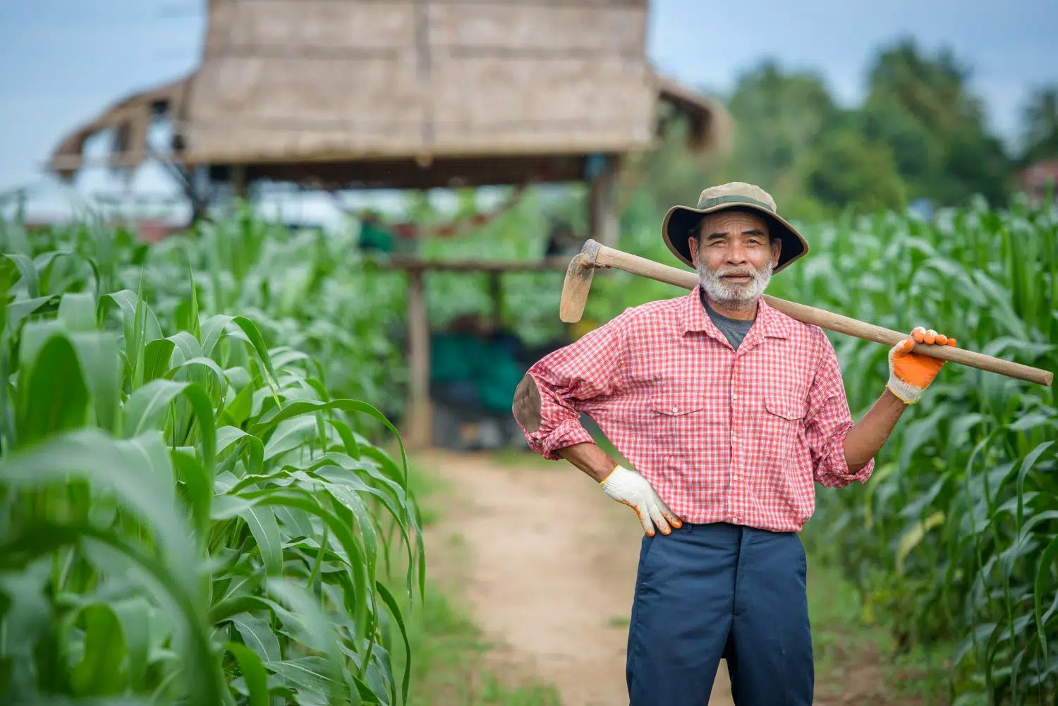 TRF4 define que INSS deve conceder aposentadoria rural para segurado que alugava um imóvel urbano