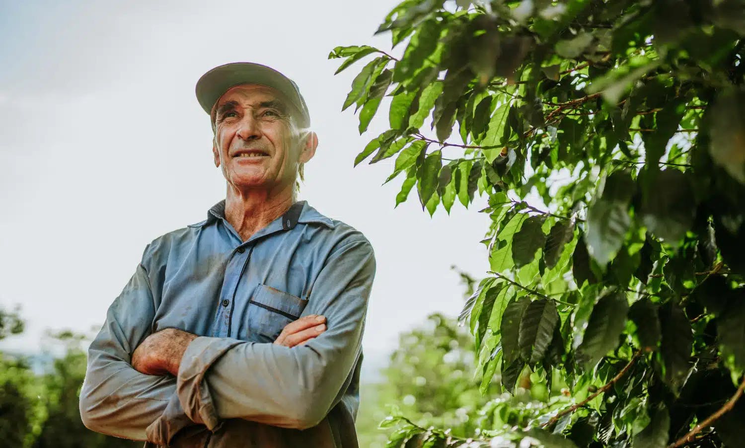 Tempo de serviço rural no INSS: prova da atividade deve ser contemporânea!