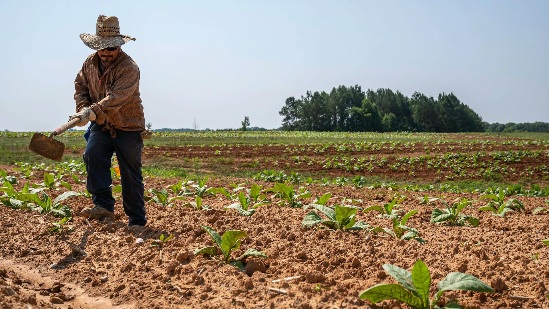 Mudança em aposentadoria rural pode gerar economia de R$ 900 bi