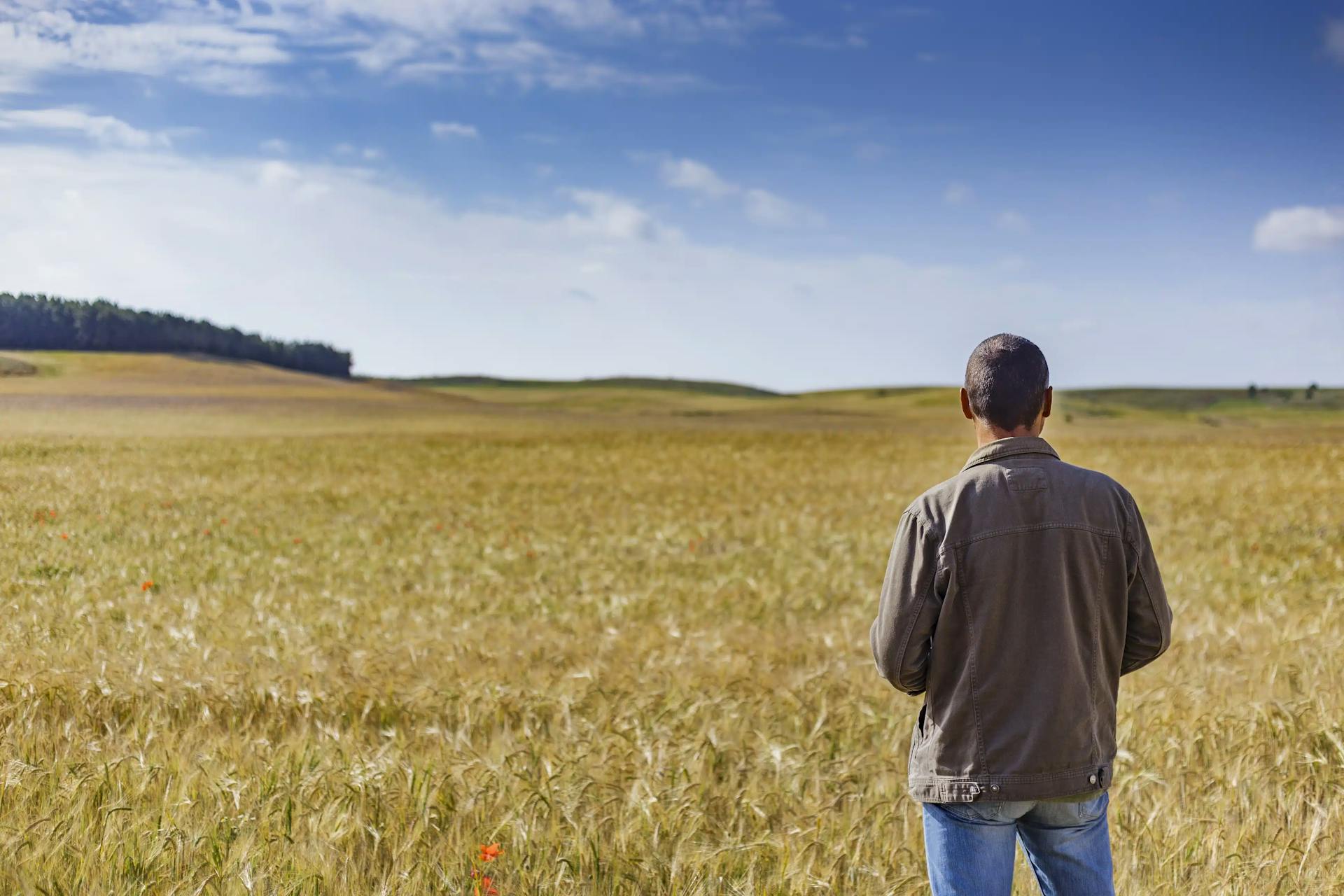 Pensão por morte rural: requisitos e como solicitar