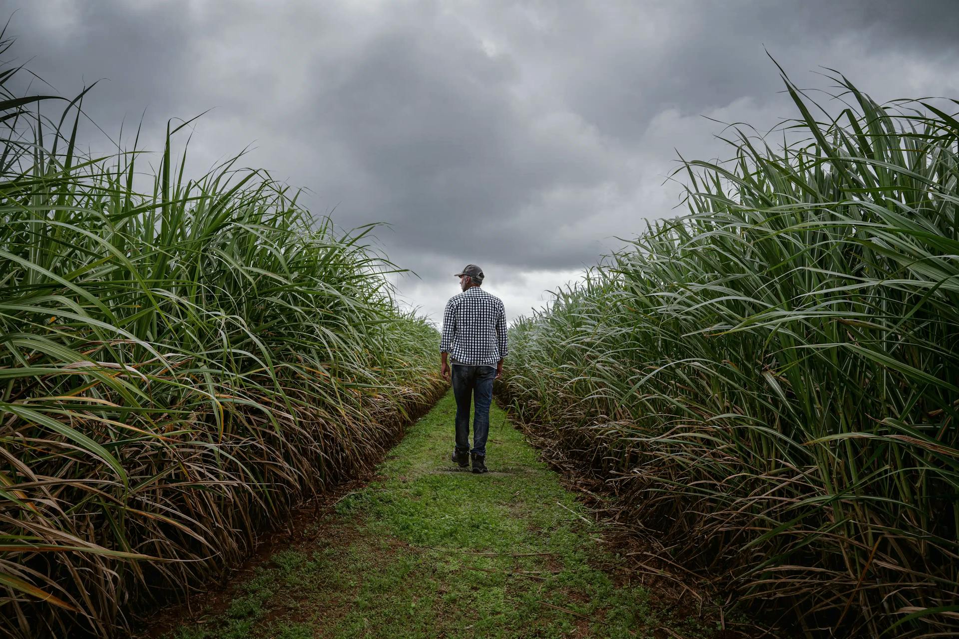 TRF1 nega aposentadoria por idade rural a empresário