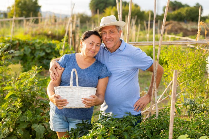 Imagem relacionada a notícia Esposa de produtor rural tem direito a aposentadoria? Entenda