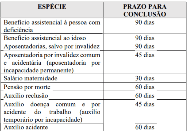 prazos para conclusão