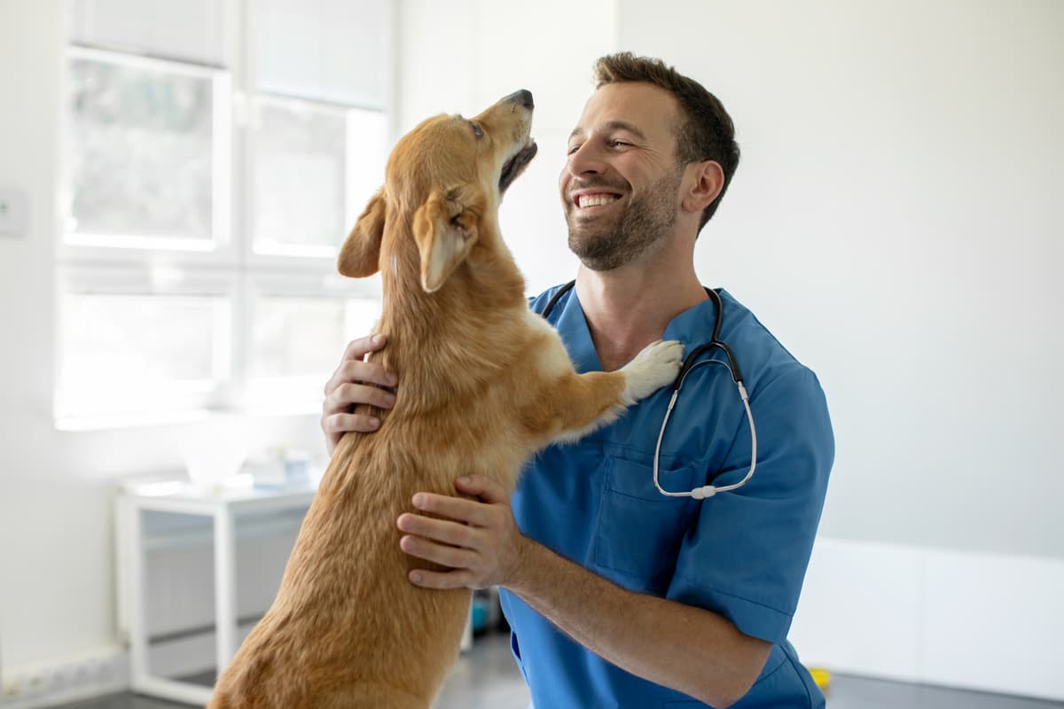 Veterinário autônomo pode se aposentar mais cedo?