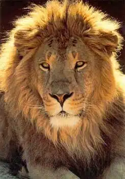 Impostômetro chegou a R$ 1 trilhão