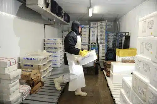 Trabalho em temperatura inferior a 12 graus garante aposentadoria especial