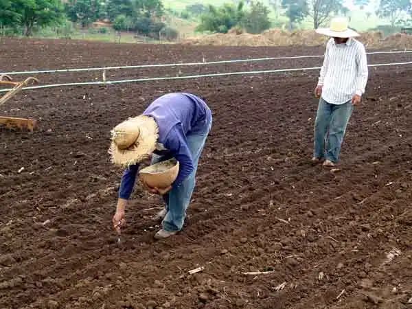 Trabalho urbano de cônjuge não prejudica aposentadoria especial de agricultora