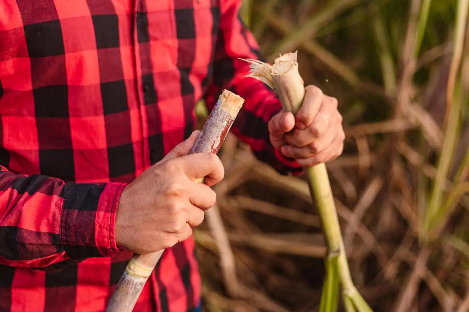 TRF3 concede Aposentadoria por Tempo de Contribuição para um trabalhador de usina