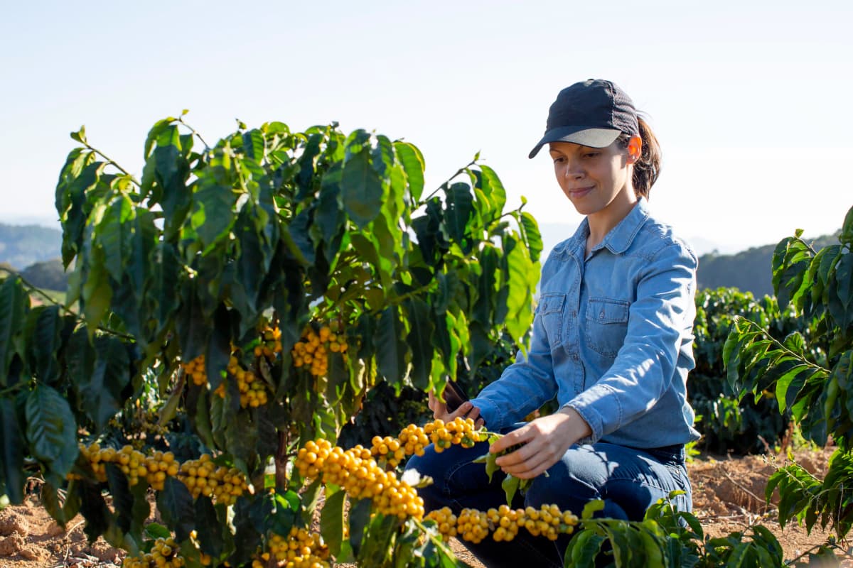 agricultora salario maternidade