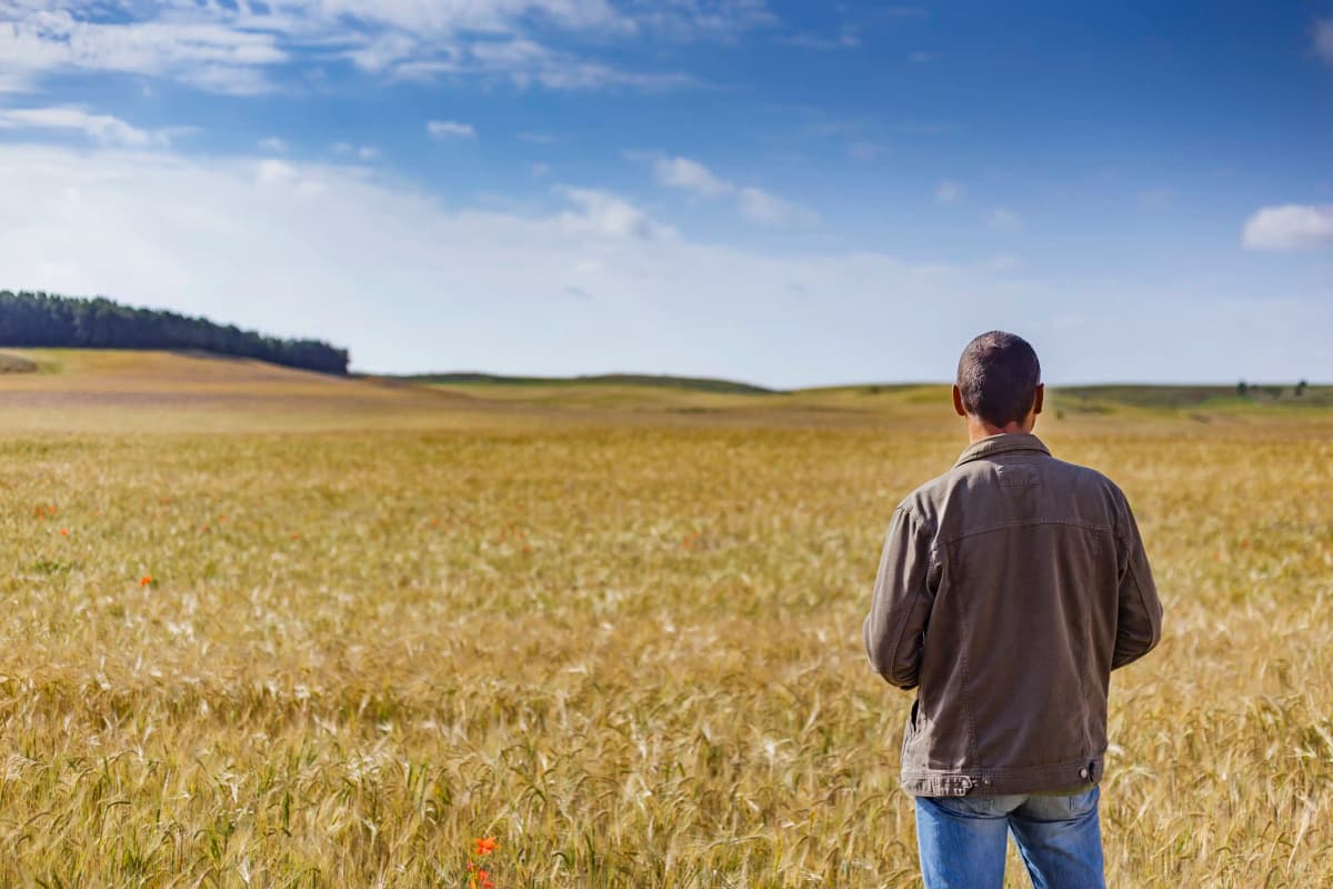 Pensão por morte rural: requisitos e como solicitar