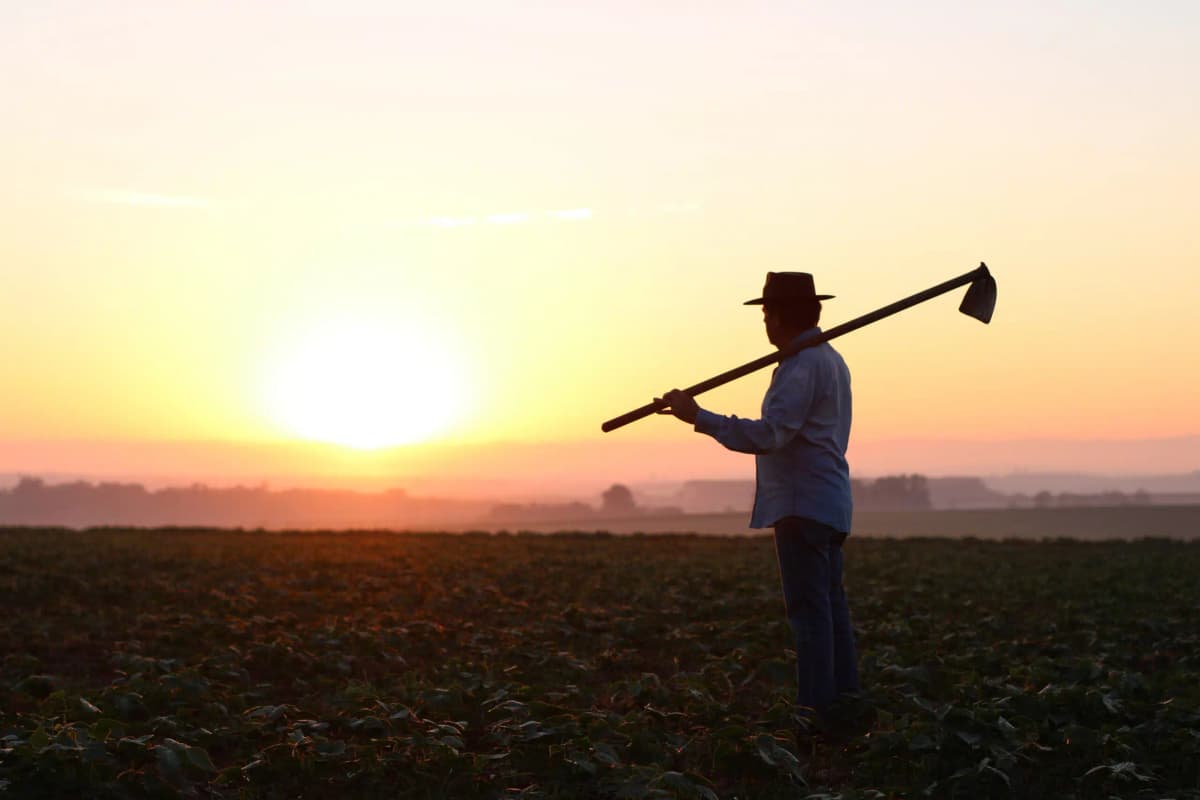 INSS é condenado a conceder aposentadoria a um trabalhador rural no prazo de 30 dias