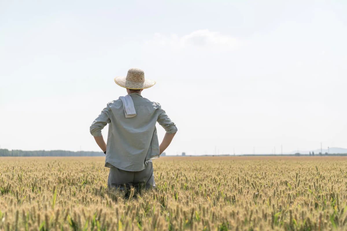 TRF1 mantém pensão por morte após INSS alegar falta de provas