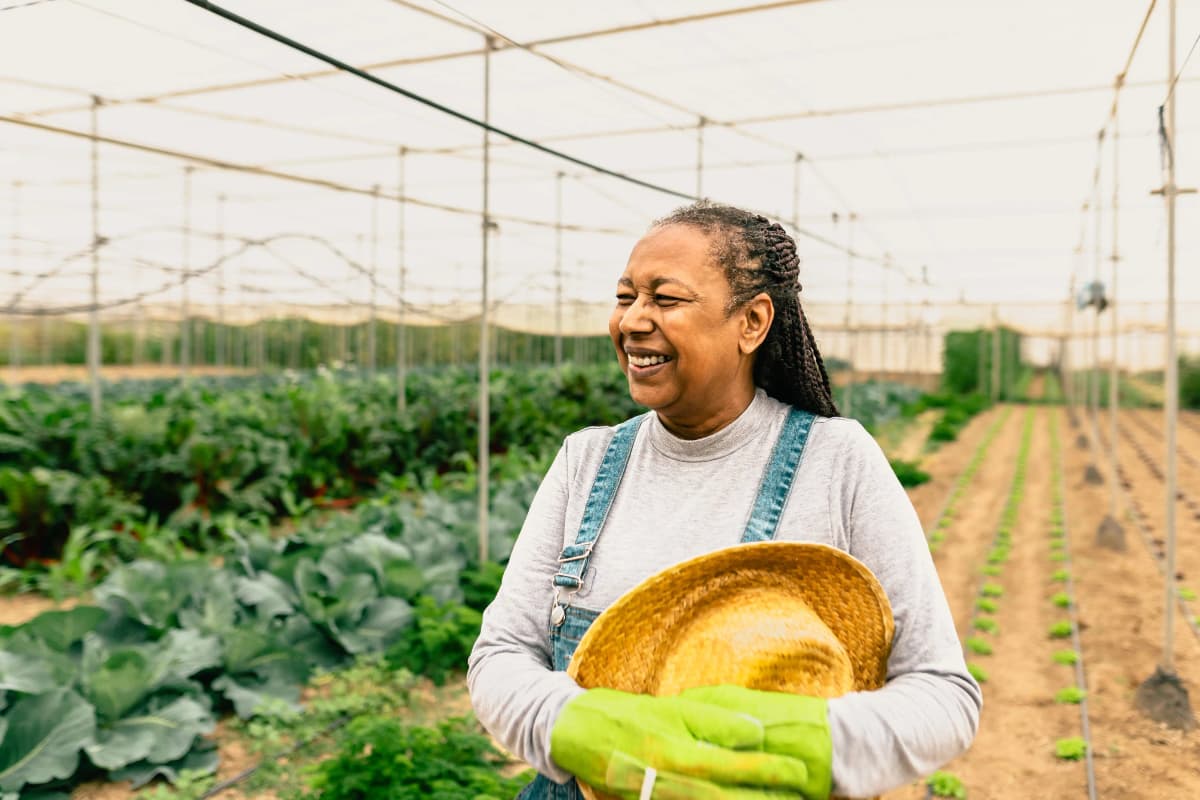 Aposentadoria por idade híbrida não exige mínimo em atividade urbana