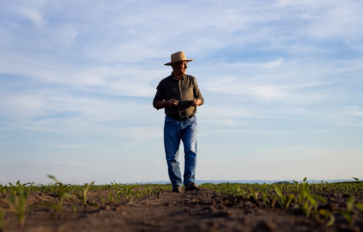O que é período de carência para o trabalhador rural?
