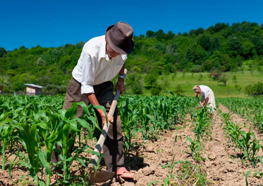 TNU: Trabalho urbano e rural garante aposentadoria híbrida ...