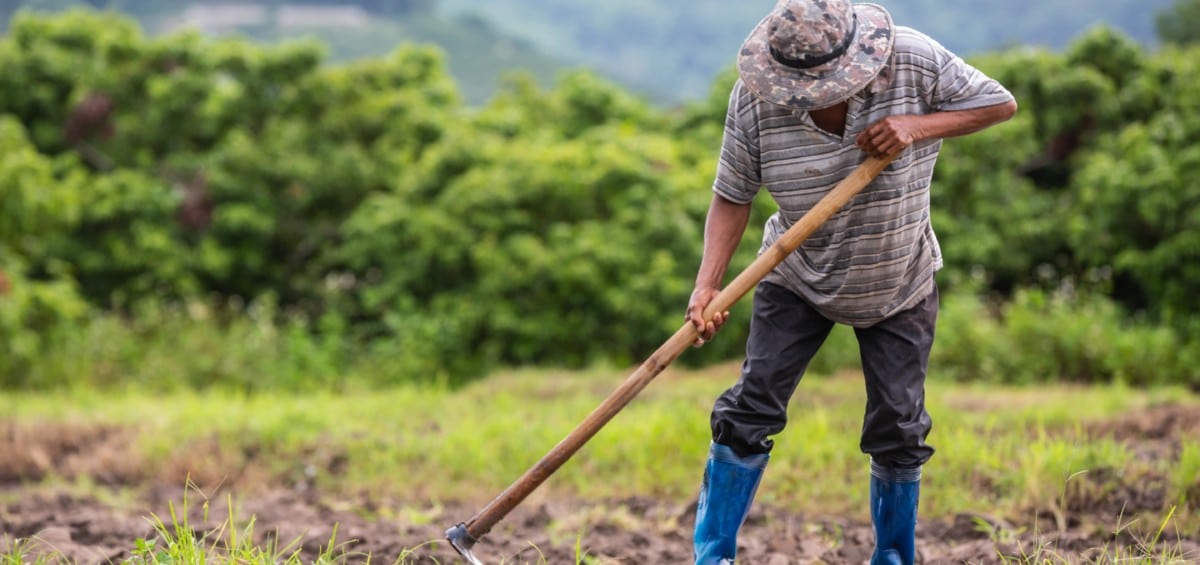 TRF3 decide conceder aposentadoria rural para um trabalhador informal