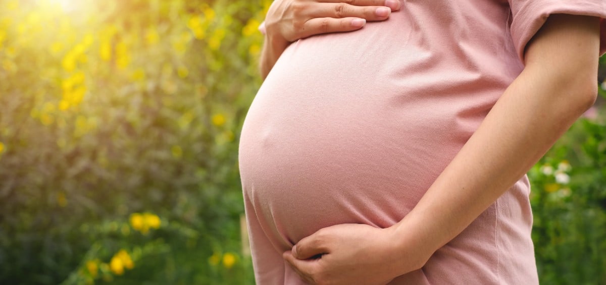 Projeto discute salário-maternidade para grávidas que não podem fazer teletrabalho