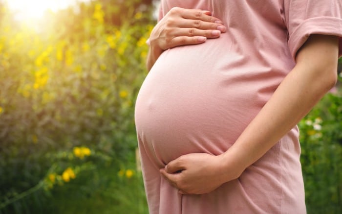 Projeto discute salário-maternidade para grávidas que não podem fazer teletrabalho
