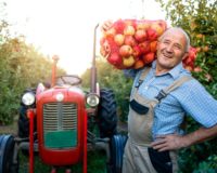 TRF1 garante a concessão da aposentadoria rural por idade para trabalhador
