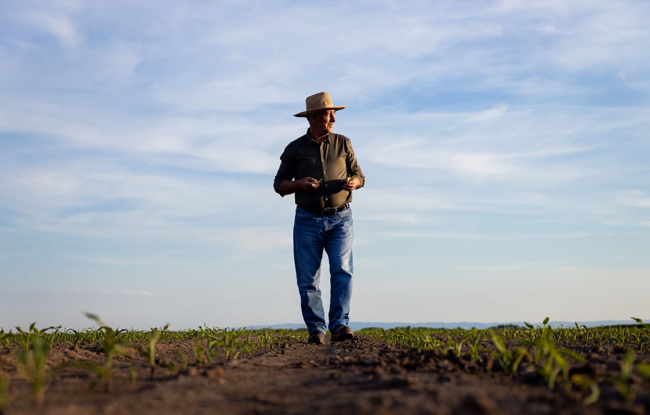 Produtor rural ganha auxílio sem comprovar todo período no campo