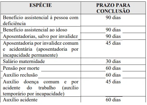 prazos para conclusão